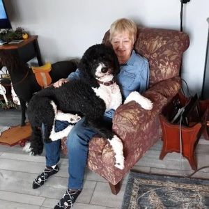 Meet your Posher, Janet